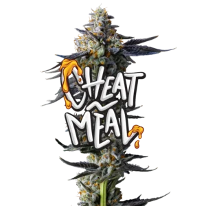 Buy Cheat Meal Flower By Jeeter | Red Label