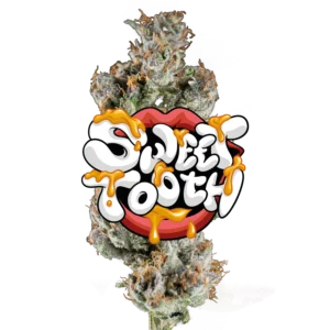 Sweet Tooth